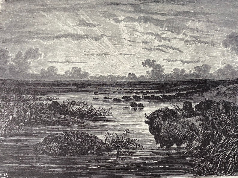etching book plate The Mississippi savannahs by Gustave Dore