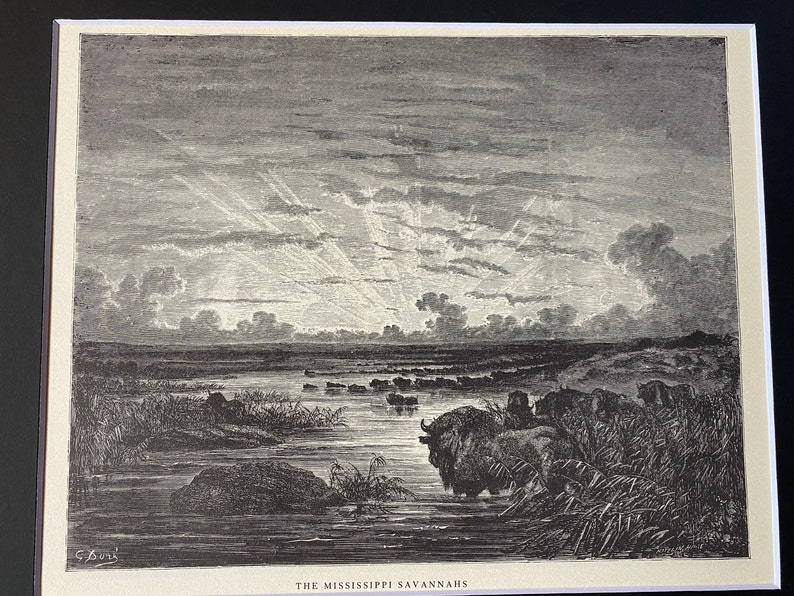 etching book plate The Mississippi savannahs by Gustave Dore