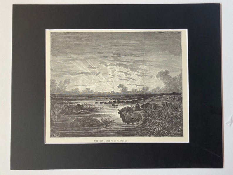 etching book plate The Mississippi savannahs by Gustave Dore