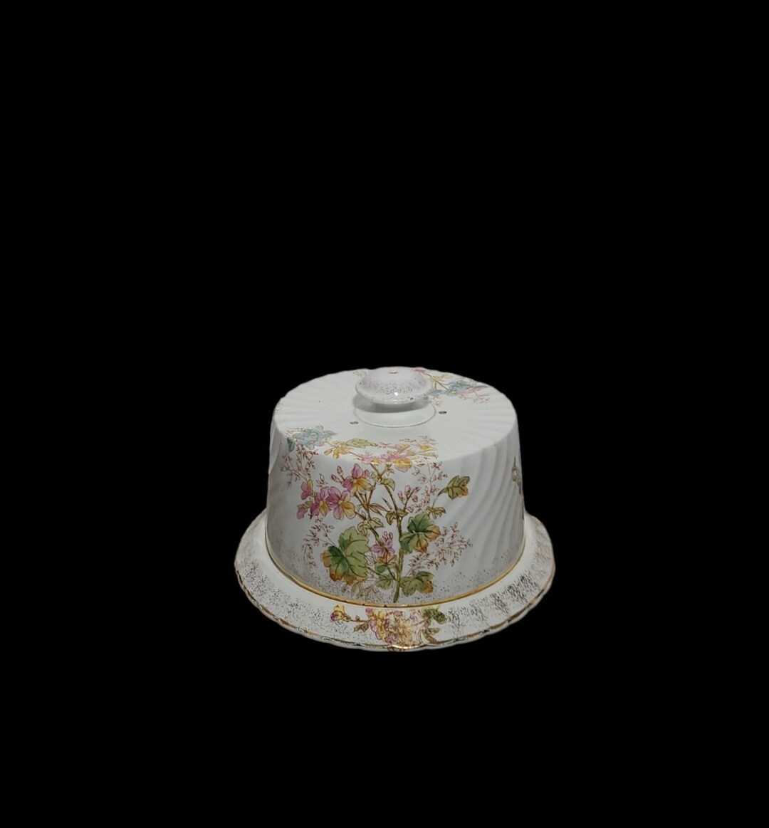 Antique Porcelain 18751910 Imperial Bonn Germany Covered Round Cheese