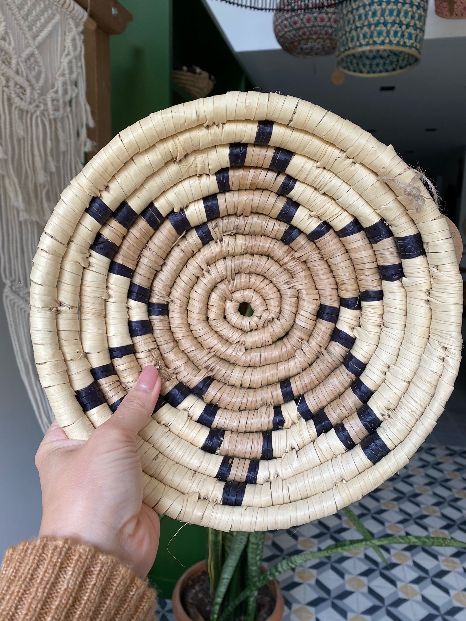 Seagrass Wall Basket Set. Wicker Wall Plate Set of 5. Pastel Room Decor