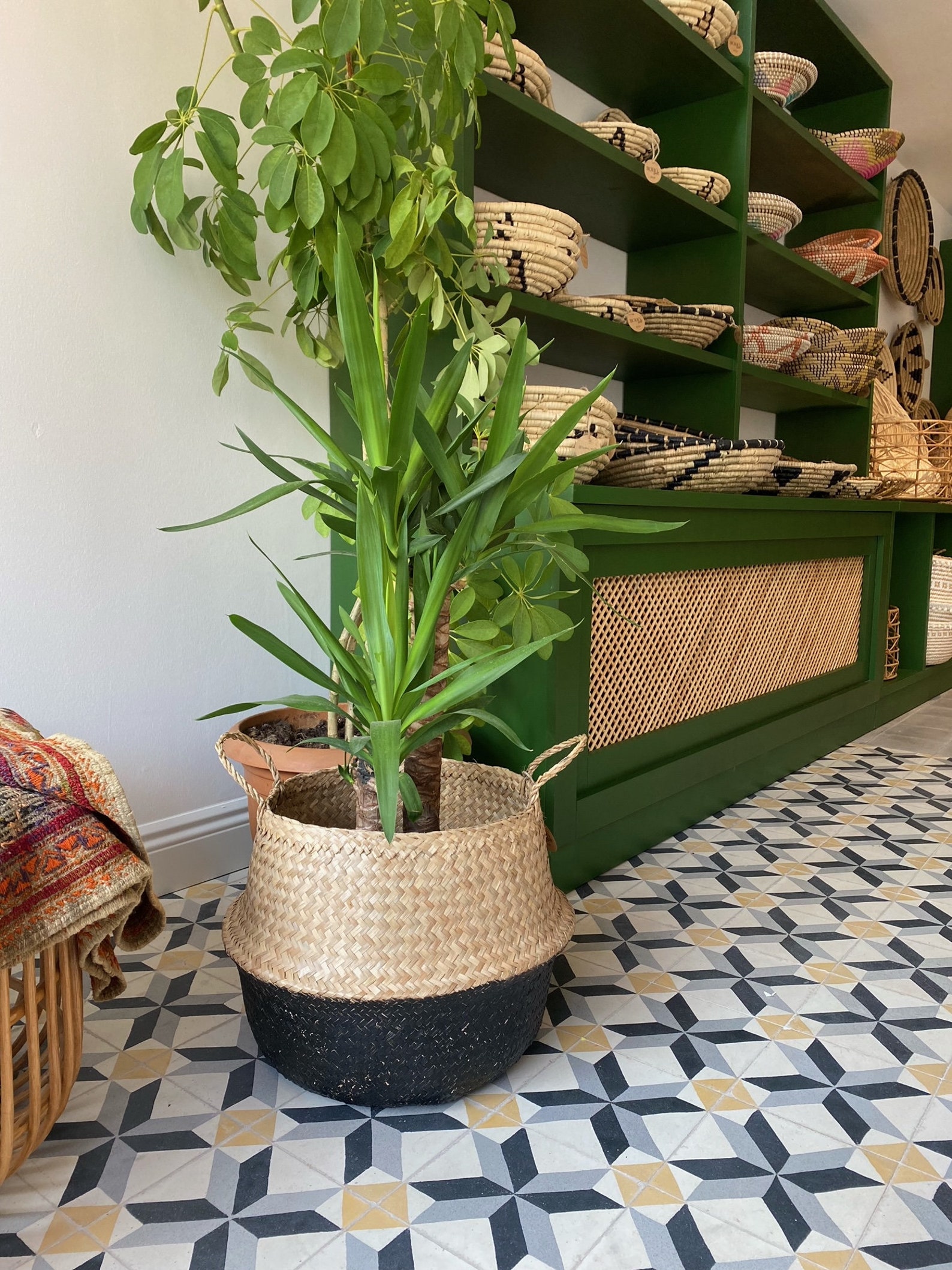 Boho wicker plant basket Hand dyed rattan basket Cactus plant Etsy