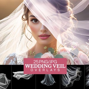 Veil Overlay, Wedding Veil Transparent PNG, Wedding Veil Overlays, Flying Fabric Overlay, Tulle Overlay