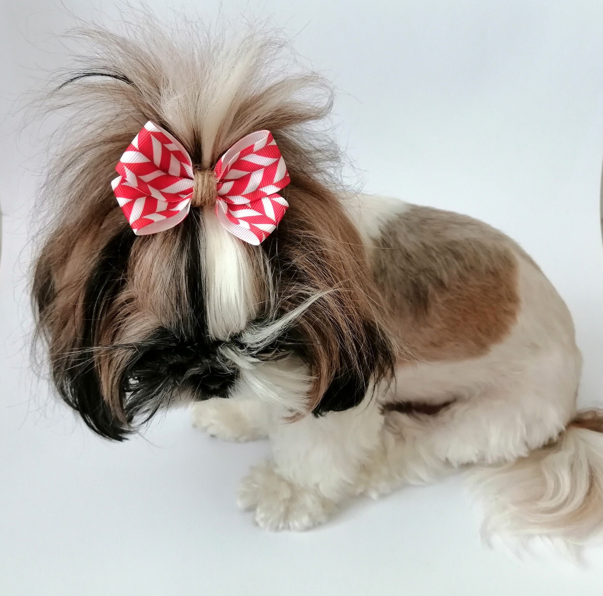 Shih tzu deals pajamas