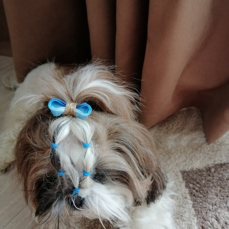 Yorkie Hair Clips Set of 4 Dog Hair Clips for Shih Tzu Mini Etsy