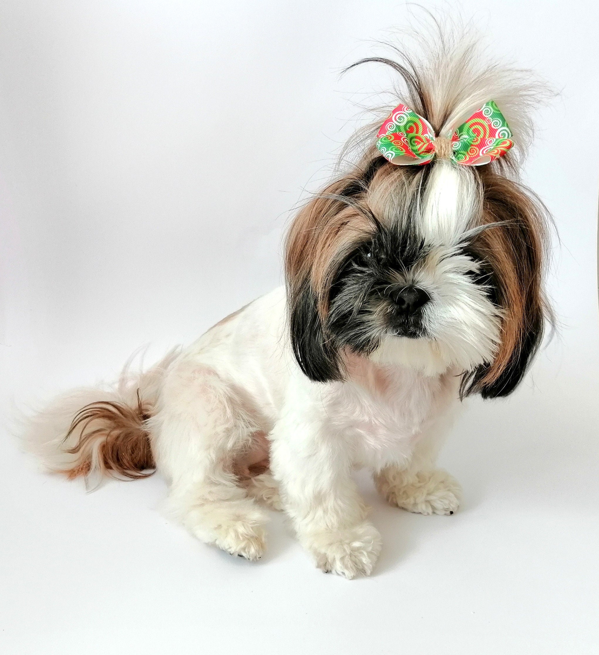 arc de cheveux chien fille pour shih tzu, yorkie, bichon frise, mini goldendoodle, havanais, ensemble 3 arcs rouges et verts, pinces à noël