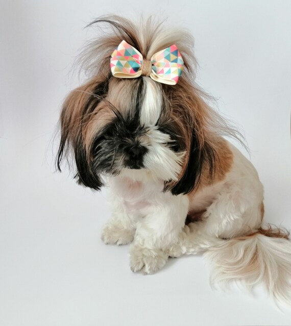 Maltese/Shih Tzu Umbrella - Blue Maltese/Shih Tzu Umbrella - Blue