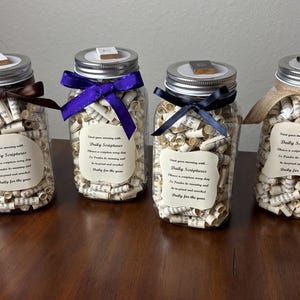 Puede incluir: Cuatro tarros de cristal llenos de rollos de papel enrollado, cada uno adornado con una cinta y un pequeño libro en la tapa. Los tarros tienen etiquetas con el texto "Daily Scriptures". Las cintas son marrón, morado, azul marino y beige.