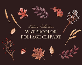 Fall Leaves Watercolor Clipart PNG - Fall Foliage, Hand Painted, Autumn Leaves, Wheat, Berries, Downloadable Assets (Commercial Use)