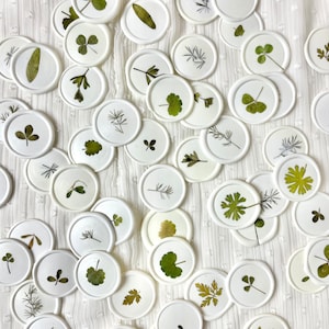 Blumensiegel Set / Wachssiegel mit echten Blättern / Siegel Natur / 5 Stück