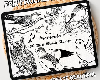 100 Bird Brush Stamps | Procreate Bird Brush Stamps | Bird Procreate Stamps | Procreate Bird Stamps | Procreate Bird | Procreate Stamps