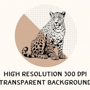 May include: Black and white illustration of a jaguar sitting on a brown and white background. The jaguar has a spotted pattern.