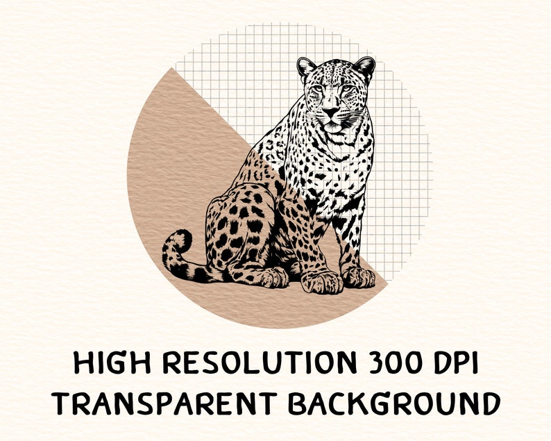 May include: Black and white illustration of a jaguar sitting on a brown and white background. The jaguar has a spotted pattern.