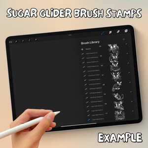100 Sugar Glider Brush Stamps | Procreate Sugar Glider Brush Stamps | Sugar Glider Procreate Stamps | Procreate Sugar Glider Stamps