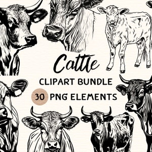 May include: A set of 30 black and white clip art illustrations of cattle. The illustrations are in a vintage style and feature various poses of cows, bulls, and calves. The text "Cattle Clipart Bundle 30 PNG Elements" is included in the image.