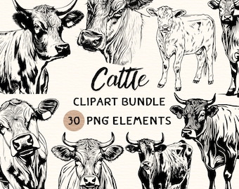 Cattle Clipart Bundle | Cattle Clipart | Cattle Png | Cattle Illustration | Cattle Coloring | Cattle Outline | Cattle Line Art | 300 DPI