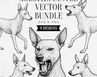 Vintage Xoloitzcuintle SVG, Realistic Dog PNG Clipart, Hairless Dog Illustration, Mexican Dog Vector, Tattoo Design, Commercial Use
