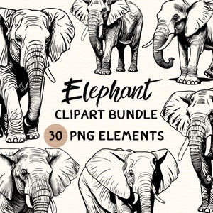 Elephant Clipart Bundle PNG, Safari Animal Line Art, Wildlife Digital Download