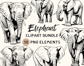 Elephant Clipart Bundle | Elephant Clipart | Elephant Png | Elephant Illustration | Elephant Coloring | Elephant Outline | Elephant Line Art