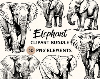 Elephant Clipart Bundle | Elephant Clipart | Elephant Png | Elephant Illustration | Elephant Coloring | Elephant Outline | Elephant Line Art