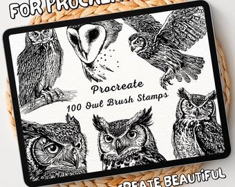 100 Owl Brush Stamps | Procreate Owl Brush Stamps | Owl Procreate Stamps | Procreate Owl Stamps | Procreate Owl | Procreate Stamps
