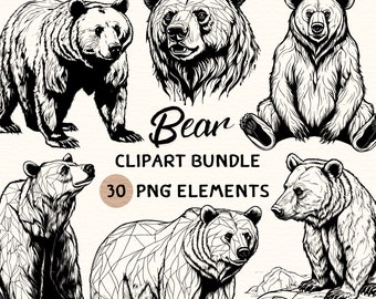 Bear Clipart Bundle | Bear Clipart | Bear Png | Bear Illustration | Bear Coloring | Bear Outline | Bear Line Art | 300 DPI | Digital Prints