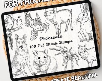 100 Pet Brush Stamps | Procreate Pet Brush Stamps | Pet Procreate Stamps | Procreate Pet Stamps | Procreate Pet | Procreate Stamps