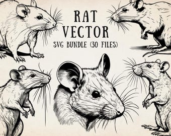 Rat Svg Bundle | Rat Svg Cut File | Rat Vector File | Silhouette Rat Svg | Rat Outline Svg | Rat Line Art Svg | Rat Tattoo Svg | Cricut Rat
