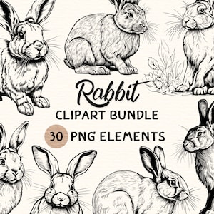 Rabbit Clipart Bundle | Rabbit Clipart | Rabbit Png | Rabbit Illustration | Rabbit Coloring | Rabbit Outline | Rabbit Line Art | 300 DPI