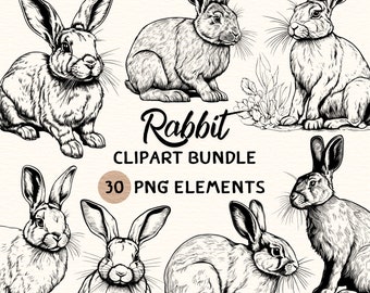 Rabbit Clipart Bundle | Rabbit Clipart | Rabbit Png | Rabbit Illustration | Rabbit Coloring | Rabbit Outline | Rabbit Line Art | 300 DPI