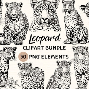May include: A set of 30 black and white leopard clip art images. The leopards are in various poses, including sitting, standing, and walking. The images are perfect for use in digital scrapbooking, card making, and other craft projects.