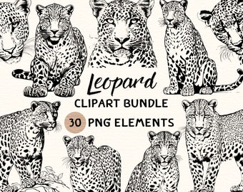 Leopard Clipart Bundle | Leopard Clipart | Leopard Png | Leopard Illustration | Leopard Coloring | Leopard Outline | Leopard Line Art