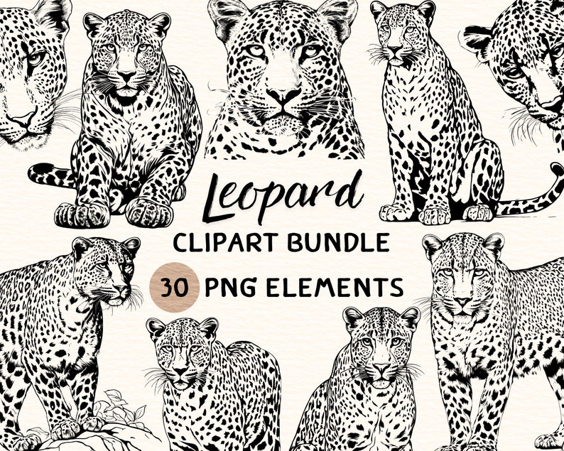 Leopard Clipart Bundle | Leopard Clipart | Leopard Png | Leopard Illustration | Leopard Coloring | Leopard Outline | Leopard Line Art