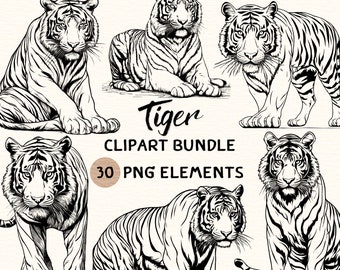 Tiger Clipart Bundle | Tiger Clipart | Tiger Png | Tiger Illustration | Tiger Coloring | Tiger Outline | Tiger Line Art | 300 DPI | Digital