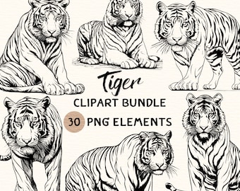 Tiger Clipart Bundle | Tiger Clipart | Tiger Png | Tiger Illustration | Tiger Coloring | Tiger Outline | Tiger Line Art | 300 DPI | Digital