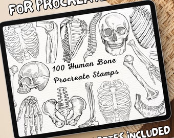 100 Human Bone Brush Stamps | Procreate Human Bone Brush Stamps | Human Bone Procreate Stamps | Procreate Human Bone Stamps | Procreate
