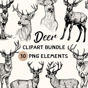 Deer Clipart Bundle | Deer Clipart | Deer Png | Deer Illustration | Deer Coloring | Deer Outline | Deer Line Art | 300 DPI | Digital Prints