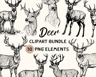 Deer Clipart Bundle | Deer Clipart | Deer Png | Deer Illustration | Deer Coloring | Deer Outline | Deer Line Art | 300 DPI | Digital Prints