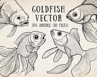 Vector