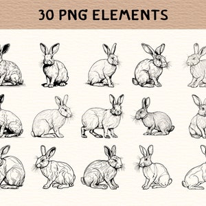 May include: A set of 30 black and white line drawings of rabbits in various poses. The rabbits are drawn in a realistic style and are perfect for use in digital or print projects.