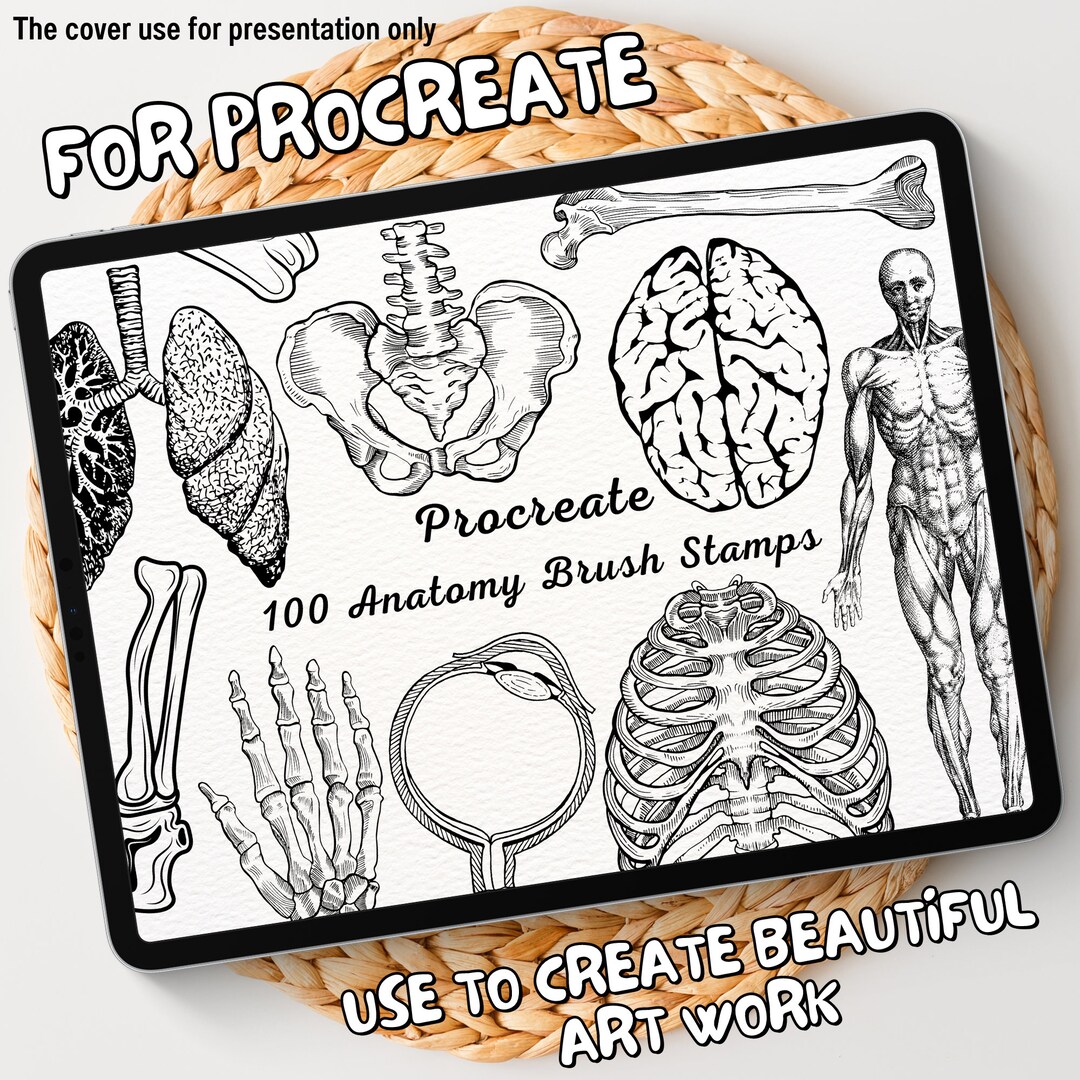 procreate anatomy stamps free