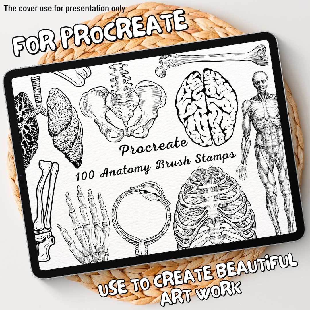 100 Anatomy Brush Stamps | Procreate Anatomy Brush Stamps | Anatomy ...