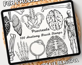 100 Anatomy Brush Stamps | Procreate Anatomy Brush Stamps | Anatomy Procreate Stamps | Procreate Anatomy Stamps | Procreate Anatomy