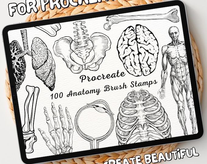 Featured listing image: 100 Anatomy Brush Stamps | Procreate Anatomy Brush Stamps | Anatomy Procreate Stamps | Procreate Anatomy Stamps | Procreate Anatomy