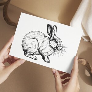 May include: A black and white line drawing of a rabbit on a white background.