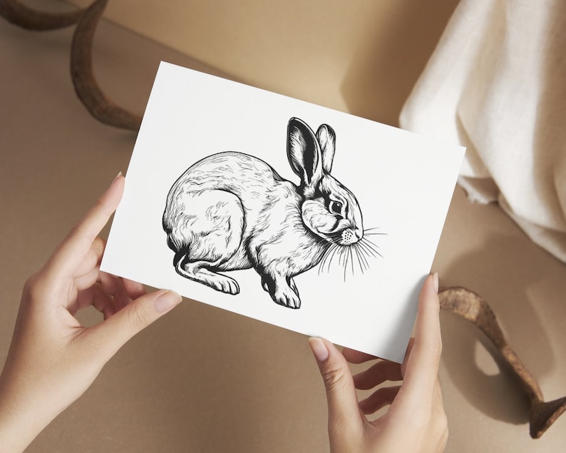 May include: A black and white line drawing of a rabbit on a white background.
