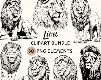 Lion Clipart Bundle | Lion Clipart | Lion Png | Lion Illustration | Lion Coloring | Lion Outline | Lion Line Art | 300 DPI | Digital Prints