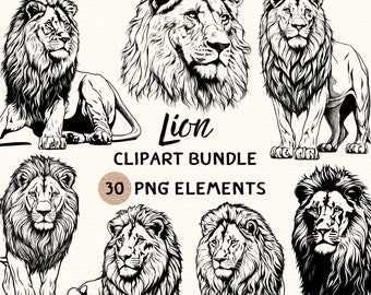 Lion Clipart Bundle | Lion Clipart | Lion Png | Lion Illustration | Lion Coloring | Lion Outline | Lion Line Art | 300 DPI | Digital Prints