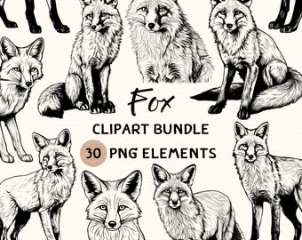 Fox Clipart Bundle | Fox Clipart | Fox Png | Fox Illustration | Fox Coloring | Fox Outline | Fox Line Art | 300 DPI | Digital Prints