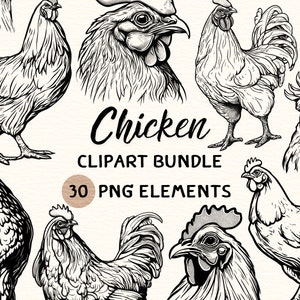 Puede incluir: Un paquete de clipart de 30 ilustraciones de pollo en blanco y negro. Las ilustraciones presentan varias poses de pollos y gallos, incluido un gallo con las plumas de la cola extendidas.
